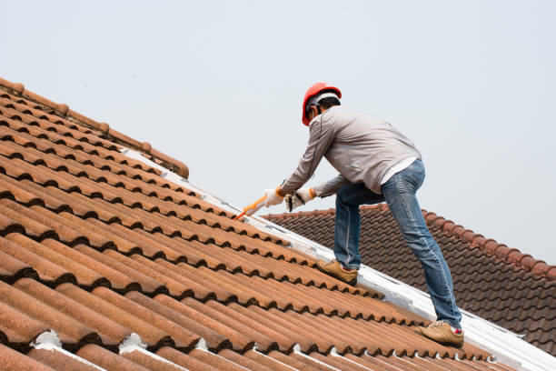 Steel Roofing in Waverly, IA