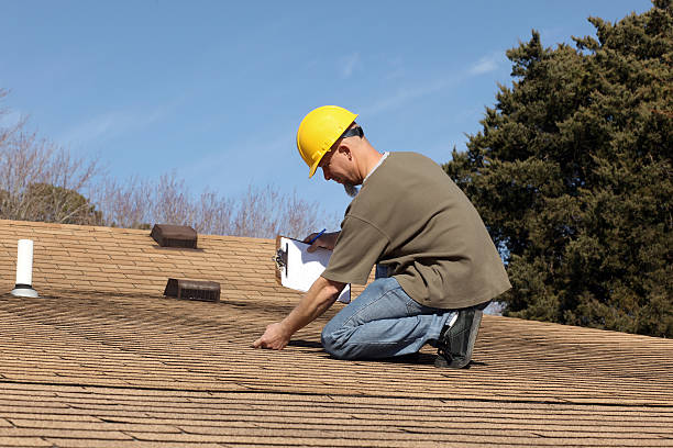 Best Roof Moss and Algae Removal  in Waverly, IA